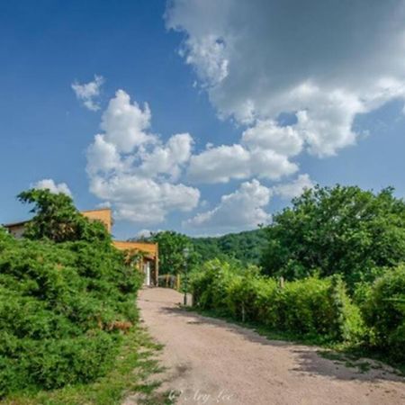 Gite Du Mont Plaisir Villa Chouvigny Eksteriør billede