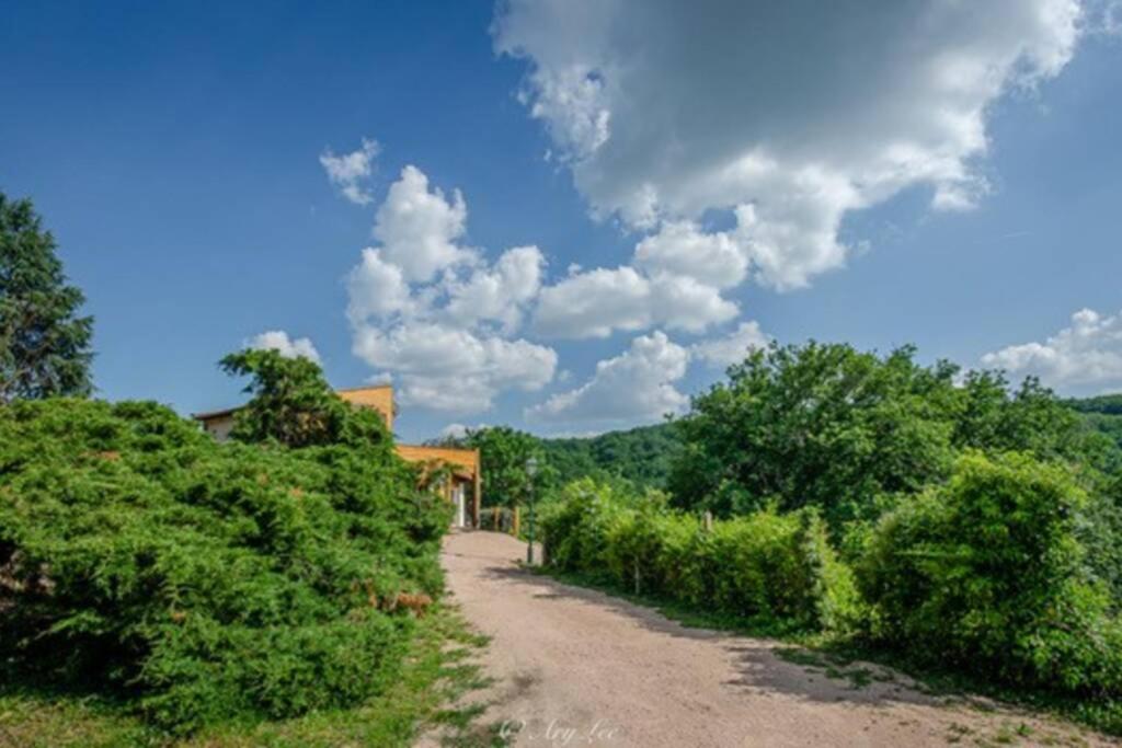Gite Du Mont Plaisir Villa Chouvigny Eksteriør billede