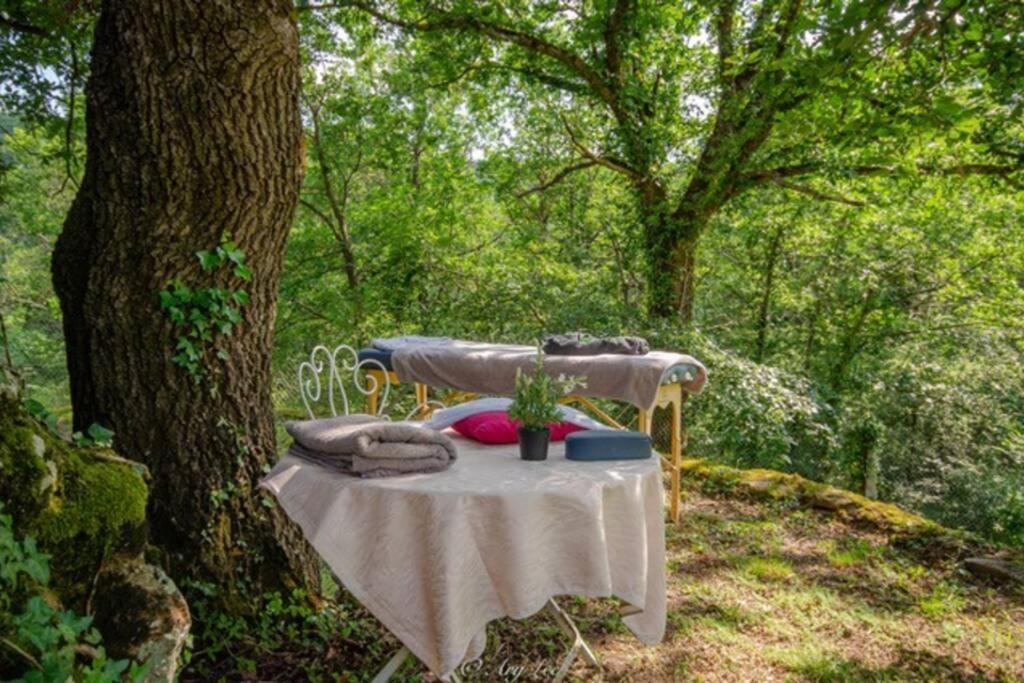 Gite Du Mont Plaisir Villa Chouvigny Eksteriør billede